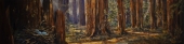 Among-giants-48x12-oil-CJ-Campbell-stmpd22