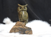 Owl Call Who